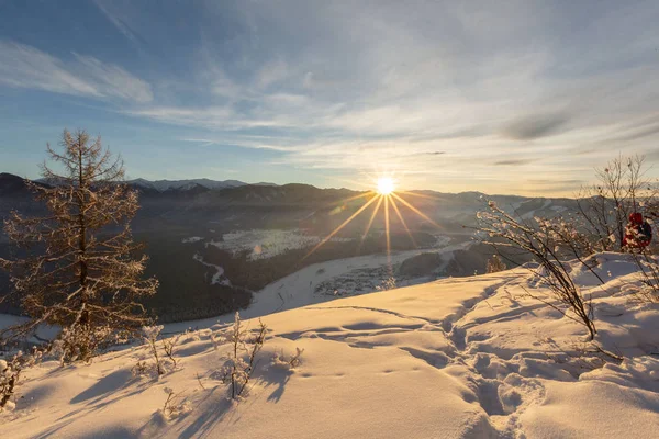 Schilderachtig Uitzicht Eindeloze Besneeuwde Bergen Met Naaldbos Zonnige Dag — Stockfoto