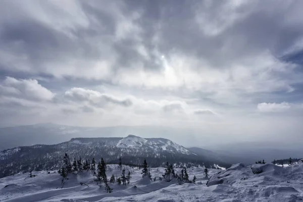 Schilderachtig Uitzicht Besneeuwde Bergen Met Eindeloos Naaldbos Zonnige Dag — Stockfoto
