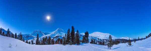 Night in the mountains, starry sky in winter in the Altai Mountains