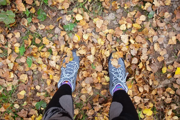 autumn leaves. sneaker and leaves. run in the fall, sports in the fall.