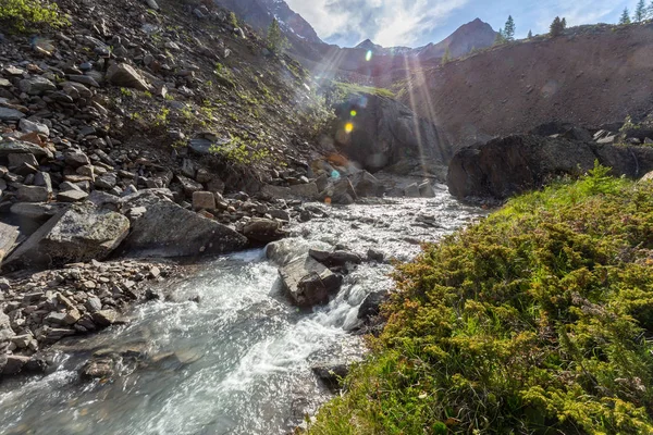 Malebný Pohled Rychlý Horský Potok Tekoucí Skalnatých Horách Jarního Slunečného — Stock fotografie