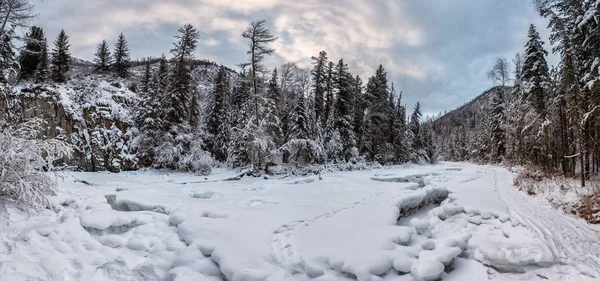 Grosser Arbersee Bajor Erdőben Télen — Stock Fotó