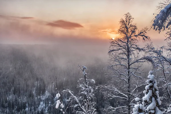 Hajnal Usva Folyón Oroszország Frosty Reggel Folyón Tél Folyó Partján — Stock Fotó