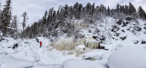 Forêt Hivernale Dans Les Montagnes — Photo