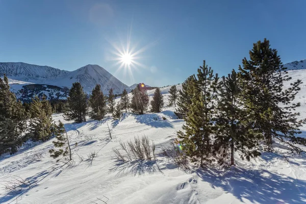 Winterlandschap Een Skipiste Sneeuw Bergen Van Altai Altai Republiek Reizen — Stockfoto