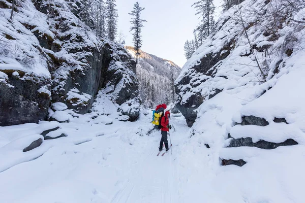 在阳光明媚的冬日 穿着保暖运动服背着背包在雪山徒步旅行 — 图库照片