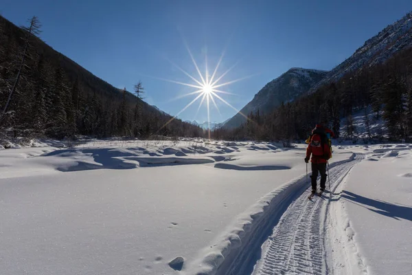 traveler in warm sporty clothes with backpack hiking in snowy mountains at sunny winter day