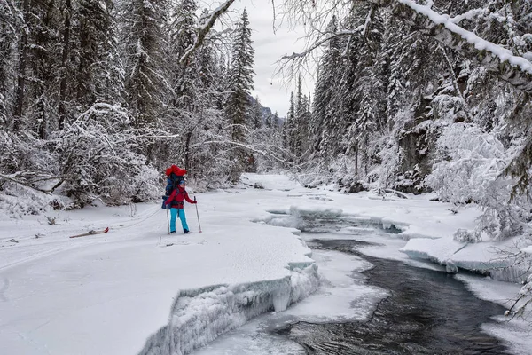 Gezgin yürüyüşçü. Dağlarda kış manzarası.