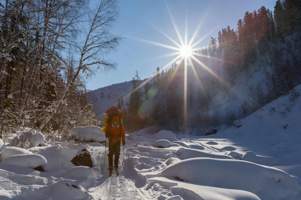 Reisende Warmer Sportlicher Kleidung Mit Rucksack Wandern Verschneiten Bergen Sonnigen — Stockfoto