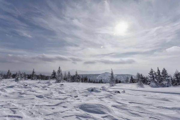 Schilderachtig Uitzicht Besneeuwde Bergen Met Eindeloos Naaldbos Zonnige Dag — Stockfoto