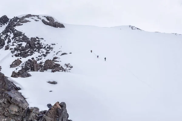 Summer, a group of tourists goes to the pass in Krygizii in the mountains. a group of climbers is climbing