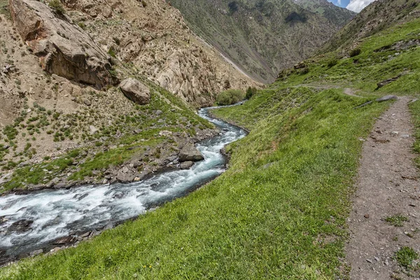 Güneşli bir günde dağların arasında akan nehrin resimsel görüntüsü  