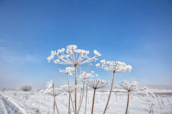 Berglandschaft Den Bergen Mit Schöner Aussicht Auf Die Täler Und — Stockfoto