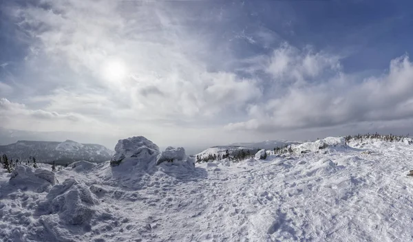 Schilderachtig Uitzicht Besneeuwde Bergen Met Eindeloos Naaldbos Zonnige Dag — Stockfoto