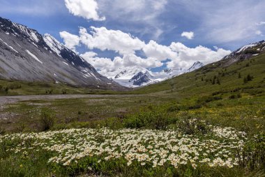 Aoraki / Cook Dağı, Güney Adası / Yeni Zelanda