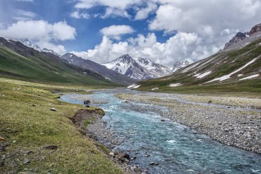 Güneşli baharda kayalık dağlarda akan hızlı dağ nehrinin resimsel manzarası 