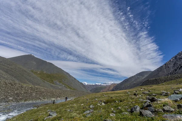 Altai Bergen Zomer Shavlinsky Meren Wandelen Bergen Het Bos Buitenrecreatie — Stockfoto