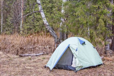 Çadır doğadaki ormanda duruyor. Yaz tatili, turnuva