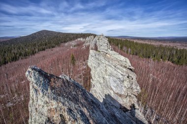 Güneşli bir günde sonsuz kozalaklı orman ve kayaların manzarası, Yerani köyü, Urallar