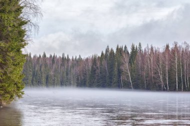 Sabah nehri, Ural taygası. Nehrin üstünde bir sis var..
