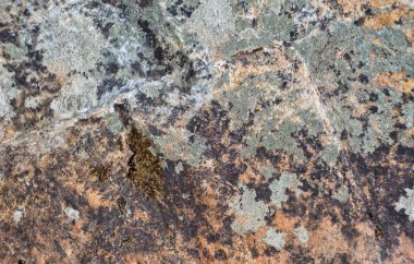 Taş zemin, taş dokusu. Doğal kayalar