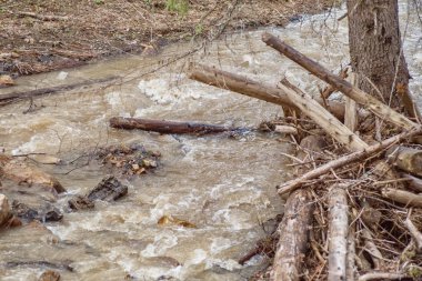 Dağ nehri, dalgalar, hızlı su akışı. Yaz, nehirde sıcak bir gündür. Ağaç parçaları.