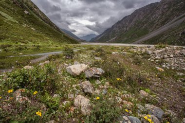 Güneşli bir günde Ural dağları arasında akan nehir  
