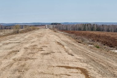 Bahar manzarası. Ormanın etrafındaki tarlada toprak yol..