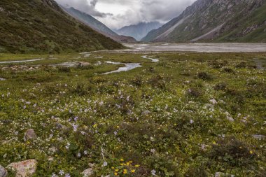 Güneşli bir günde Ural dağları arasında akan nehir  