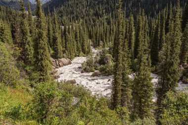 Güneşli bir günde Ural dağları arasında akan nehir  