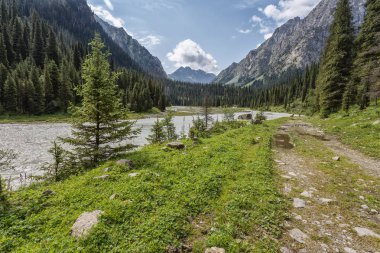 Güneşli bir günde Ural dağları arasında akan nehir  
