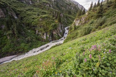 Güneşli bir günde Ural dağları arasında akan nehir  