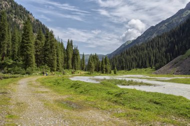 Güneşli bir günde Ural dağları arasında akan nehrin resimsel manzarası  