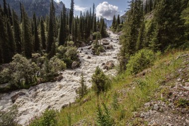 Güneşli bir günde Ural dağları arasında akan nehrin resimsel manzarası  
