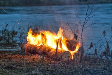 Ormandaki nehir kıyısındaki büyük odunlardan çıkan yangın, Urallar 
