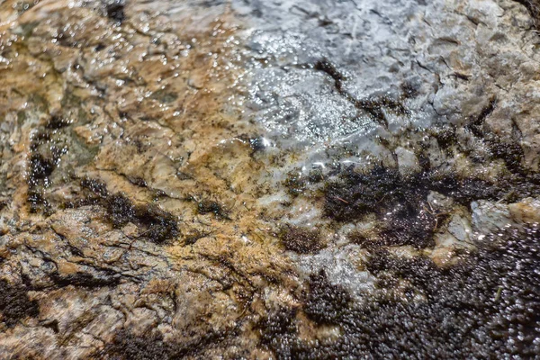 Taş zemin, taş dokusu. Doğal kayalar