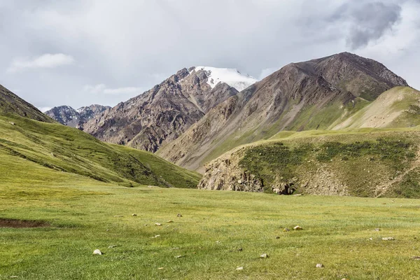 Paesaggio Montano Erba Rocce Fiume Giornata Sole Turismo Montagna — Foto Stock