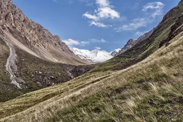 Landschap Met Bergen Reis Naar Bergen Alpenweiden Groen Gras Rotsen — Stockfoto
