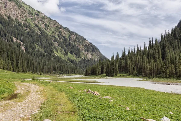 Güneşli bir günde Ural dağları arasında akan nehrin resimsel manzarası  