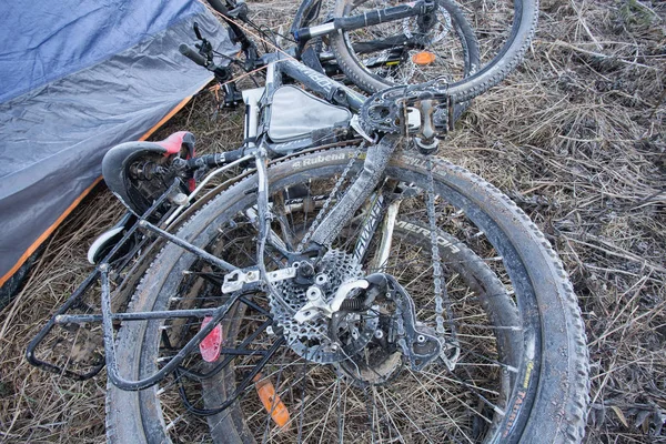 Bicicleta Carretera Bosque — Foto de Stock