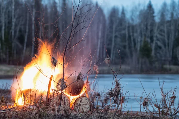 Feu Grosses Bûches Sur Rive Rivière Dans Forêt Oural — Photo