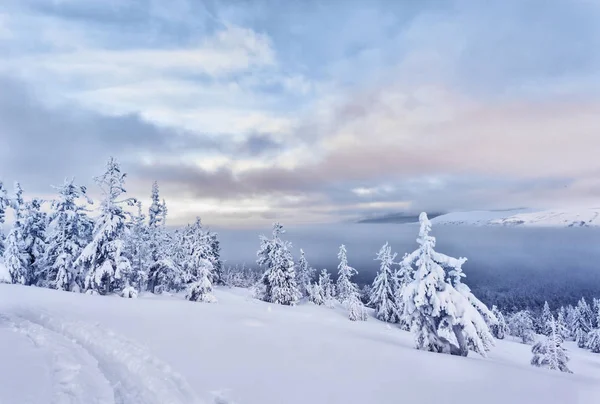 Ural Main Ridge Pasmurynm Dag Heeft Gezien Zonsondergang Verf Besneeuwde — Stockfoto
