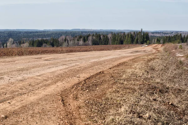 Bahar manzarası. Ormanın etrafındaki tarlada toprak yol..