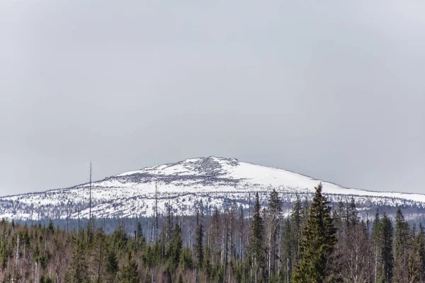 Monte Bassega, vista dal fiume Usva, Montagne Urali. Mountai — Foto Stock
