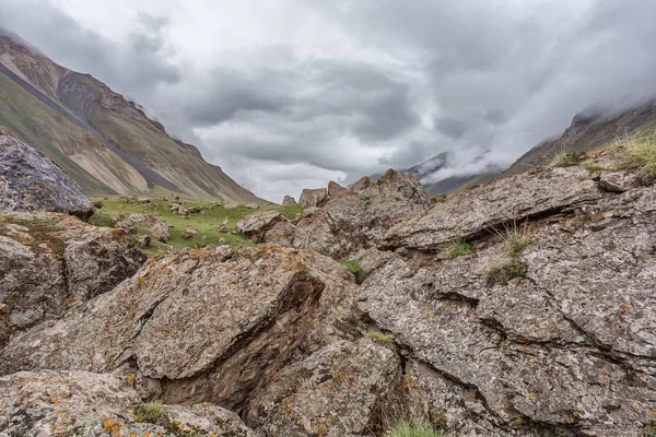 Landschap Met Bergen Reis Naar Bergen Alpenweiden Groen Gras Rotsen — Stockfoto