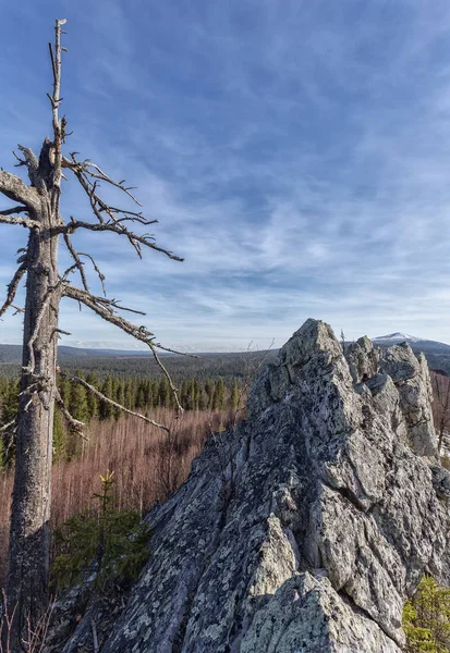 Malerischer Blick Auf Endlose Nadelwälder Und Felsen Bei Sonnigem Tag — Stockfoto