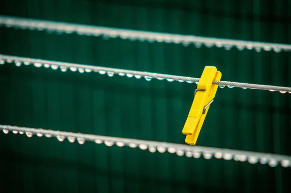 Enda Gula Kläder Stift Våta Sladd Med Vattendroppar — Stockfoto