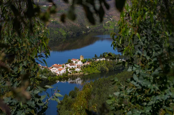 葡萄牙 Dornes 地区的乡村景观 — 图库照片