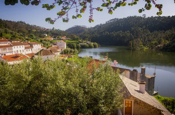 Gröna Landskapet Regionen Dornes Portugal — Stockfoto