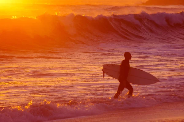 Silhouette Surfer Leaving Water Warm Sunset Light — Stock Photo, Image